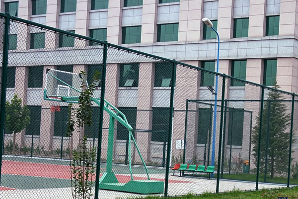 Sports Fence